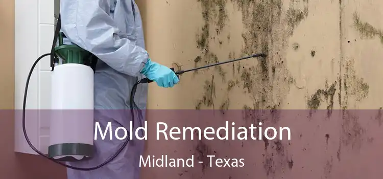 Mold Remediation Midland - Texas