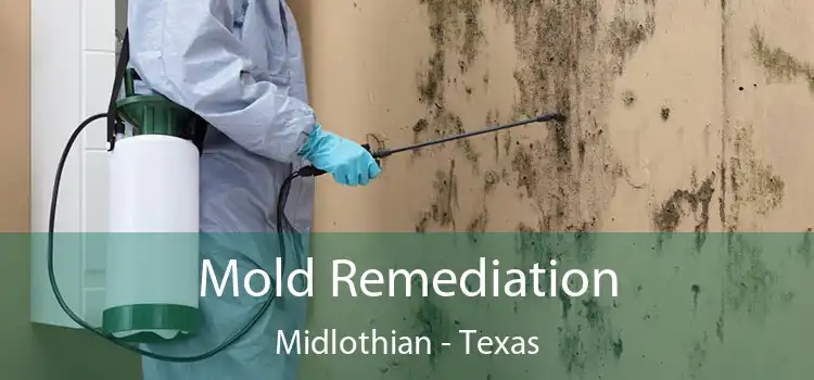 Mold Remediation Midlothian - Texas