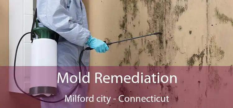 Mold Remediation Milford city - Connecticut