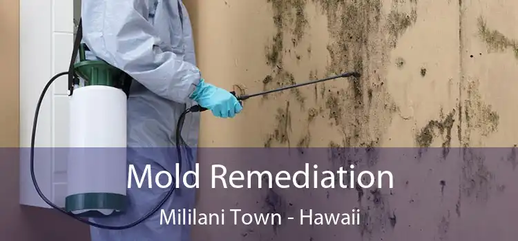 Mold Remediation Mililani Town - Hawaii