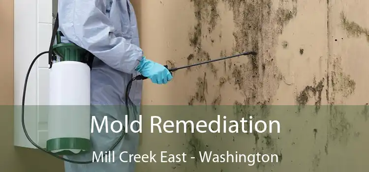 Mold Remediation Mill Creek East - Washington