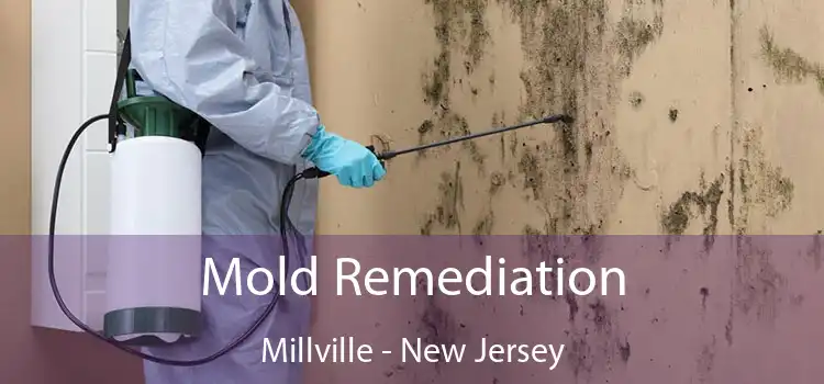 Mold Remediation Millville - New Jersey