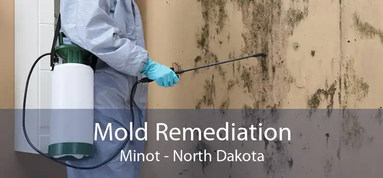Mold Remediation Minot - North Dakota