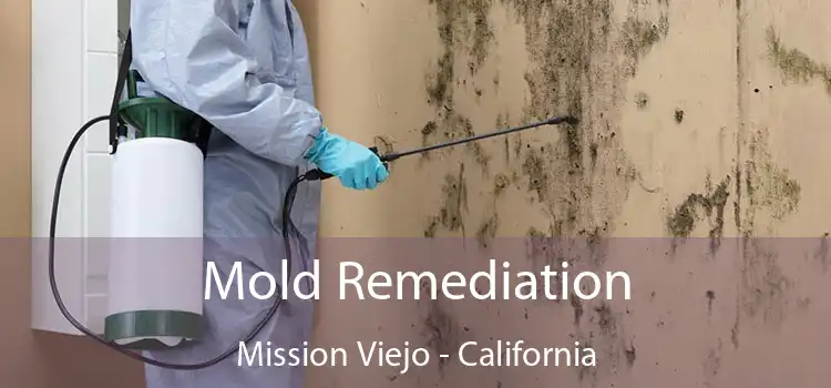 Mold Remediation Mission Viejo - California