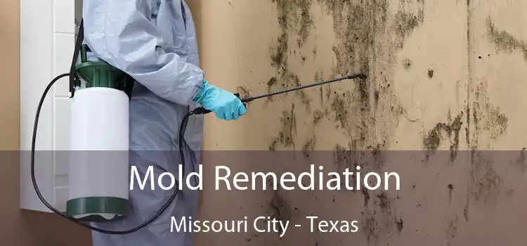 Mold Remediation Missouri City - Texas