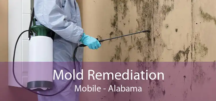 Mold Remediation Mobile - Alabama