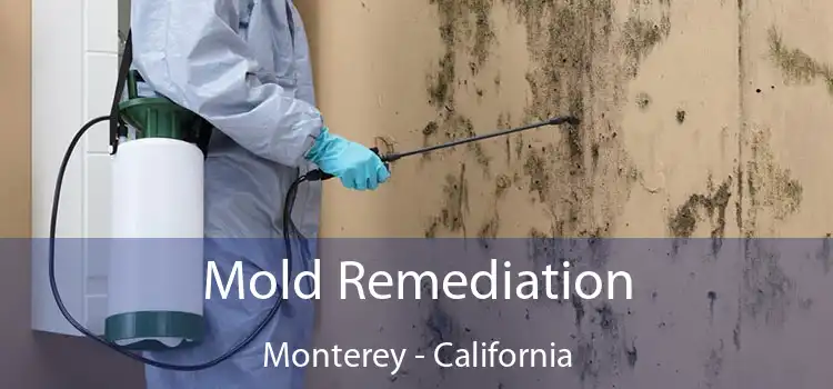 Mold Remediation Monterey - California