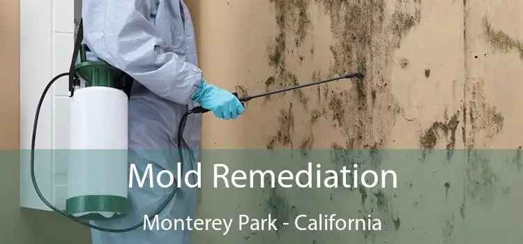 Mold Remediation Monterey Park - California