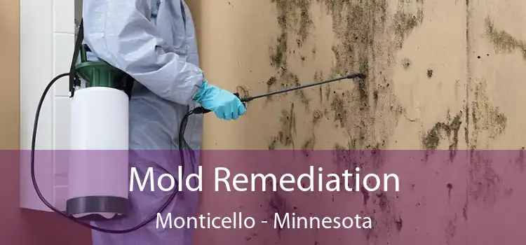 Mold Remediation Monticello - Minnesota