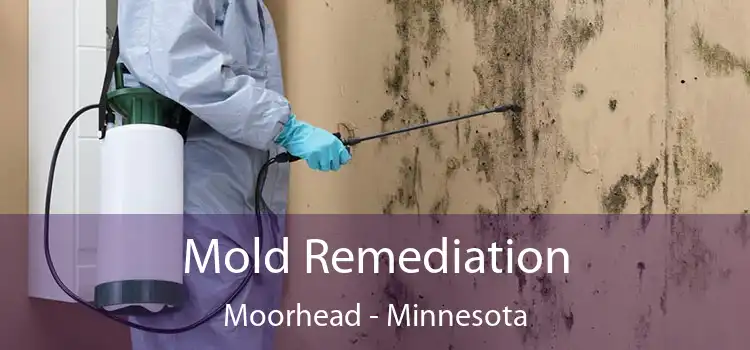 Mold Remediation Moorhead - Minnesota