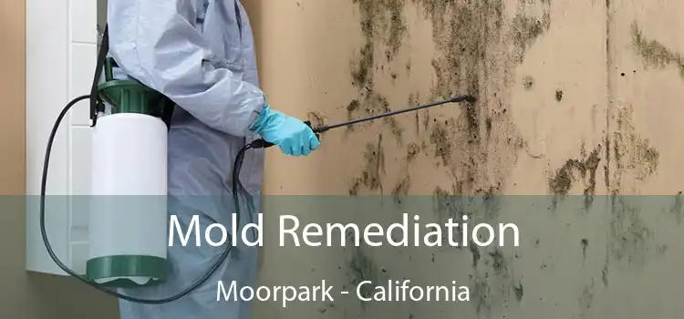 Mold Remediation Moorpark - California