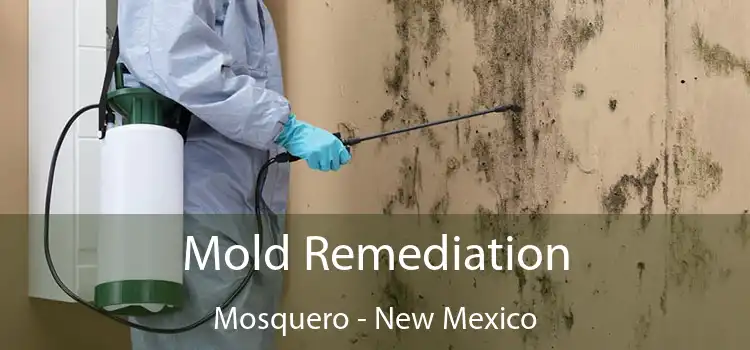 Mold Remediation Mosquero - New Mexico