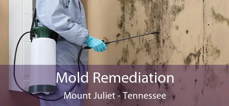 Mold Remediation Mount Juliet - Tennessee