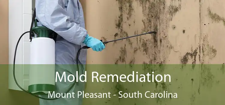 Mold Remediation Mount Pleasant - South Carolina