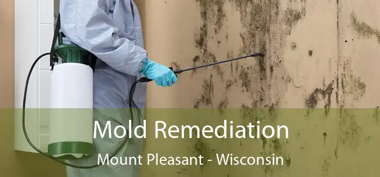 Mold Remediation Mount Pleasant - Wisconsin