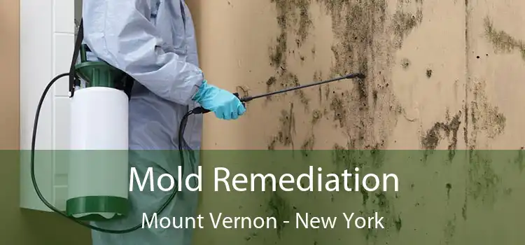 Mold Remediation Mount Vernon - New York