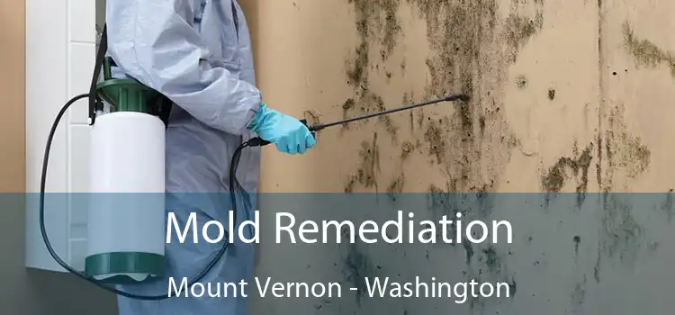 Mold Remediation Mount Vernon - Washington