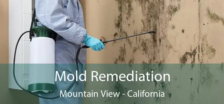 Mold Remediation Mountain View - California