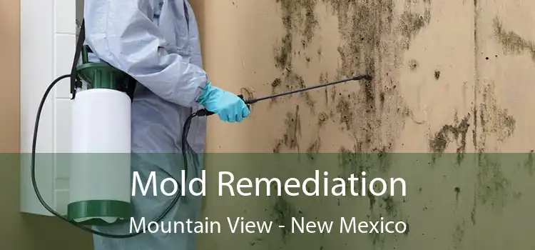 Mold Remediation Mountain View - New Mexico