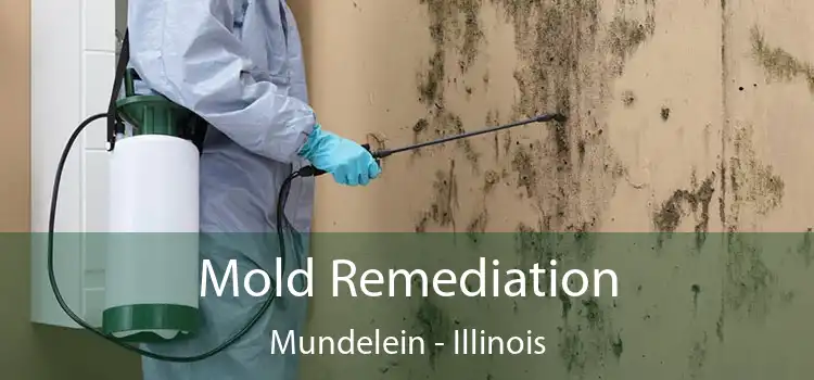 Mold Remediation Mundelein - Illinois