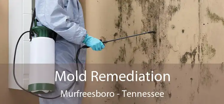 Mold Remediation Murfreesboro - Tennessee