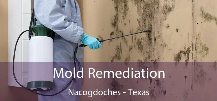 Mold Remediation Nacogdoches - Texas