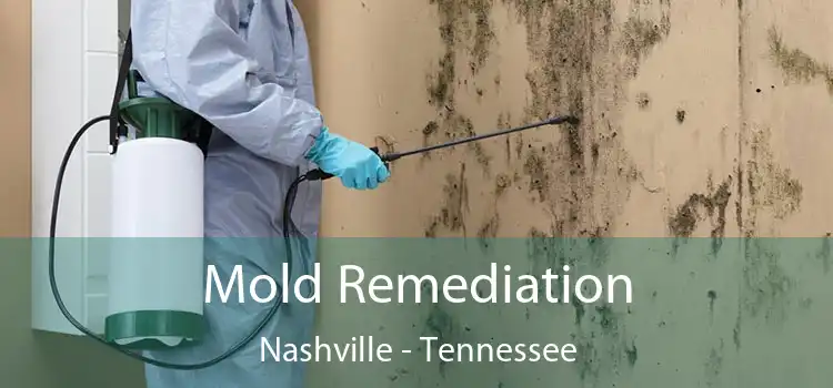 Mold Remediation Nashville - Tennessee