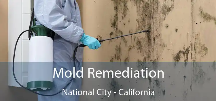 Mold Remediation National City - California