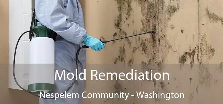 Mold Remediation Nespelem Community - Washington