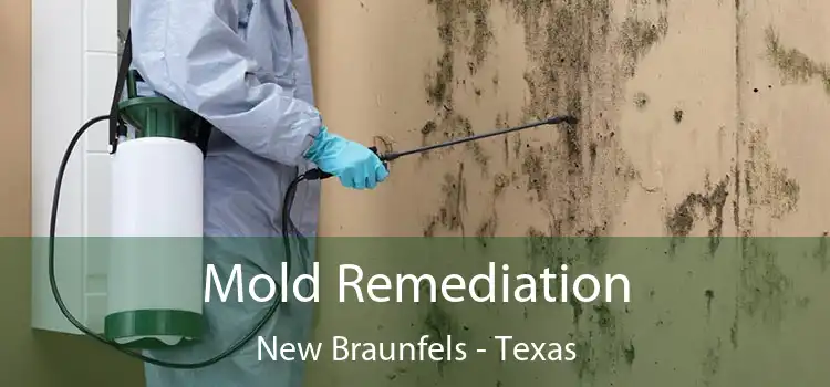 Mold Remediation New Braunfels - Texas