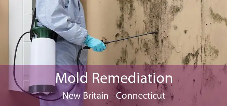 Mold Remediation New Britain - Connecticut