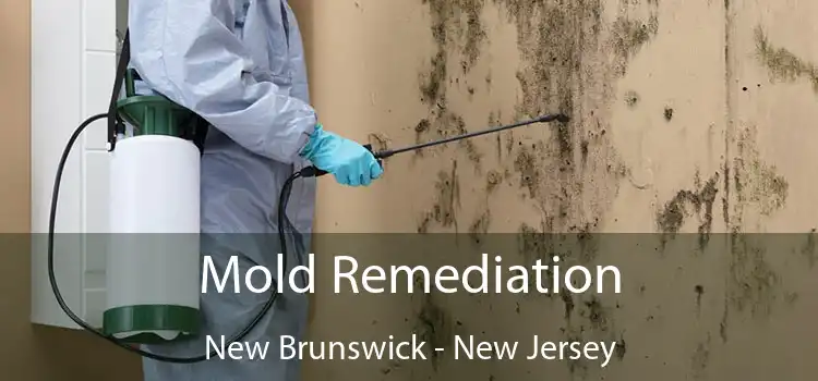 Mold Remediation New Brunswick - New Jersey