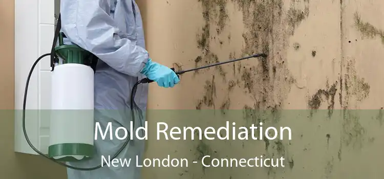Mold Remediation New London - Connecticut