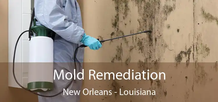 Mold Remediation New Orleans - Louisiana