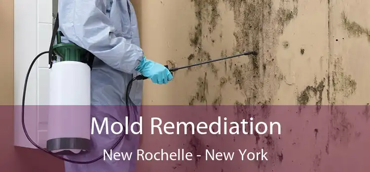 Mold Remediation New Rochelle - New York