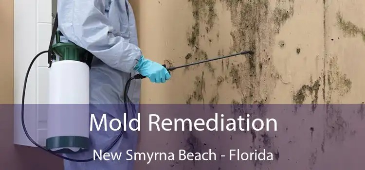 Mold Remediation New Smyrna Beach - Florida