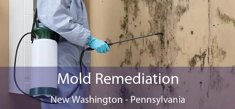 Mold Remediation New Washington - Pennsylvania