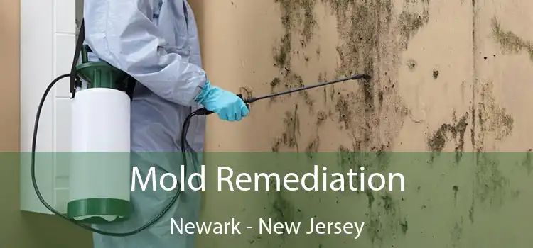 Mold Remediation Newark - New Jersey