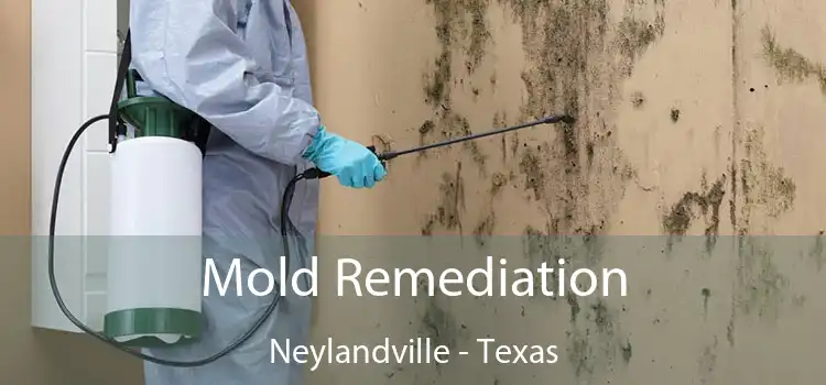 Mold Remediation Neylandville - Texas