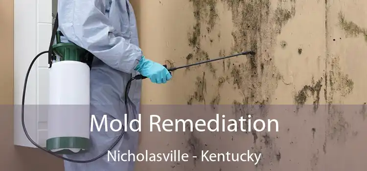 Mold Remediation Nicholasville - Kentucky