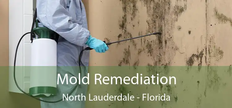 Mold Remediation North Lauderdale - Florida