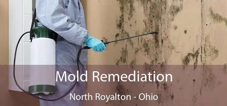 Mold Remediation North Royalton - Ohio