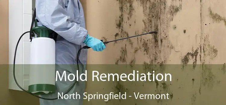 Mold Remediation North Springfield - Vermont