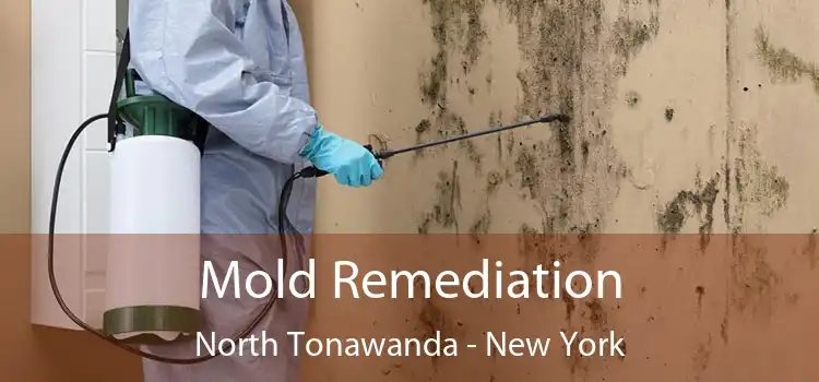 Mold Remediation North Tonawanda - New York