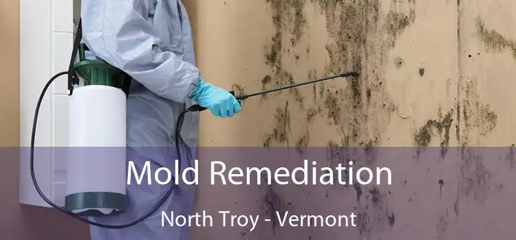 Mold Remediation North Troy - Vermont