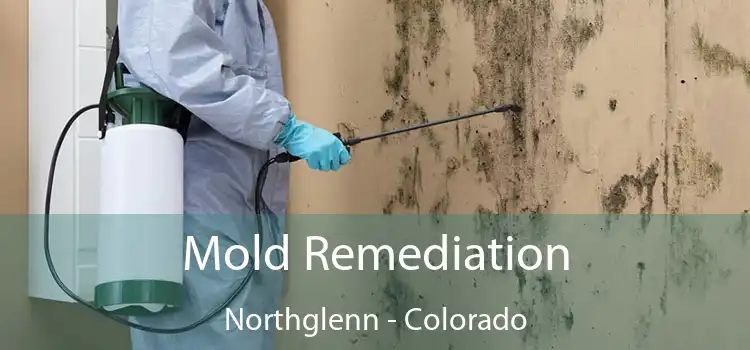 Mold Remediation Northglenn - Colorado
