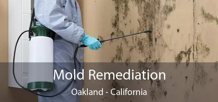 Mold Remediation Oakland - California