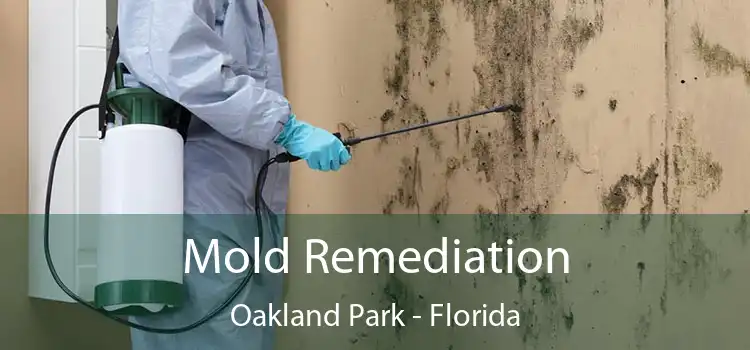 Mold Remediation Oakland Park - Florida