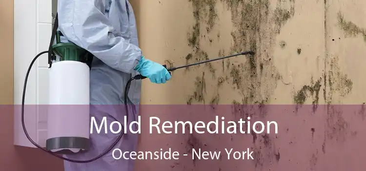 Mold Remediation Oceanside - New York
