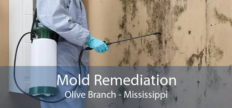 Mold Remediation Olive Branch - Mississippi